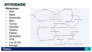 56
ATIVIDADE
Relacionar:
• Solo
• Água
• Nutrientes
• Raiz
• Tronco
• Clorofila
• Galhos
• Folhas
• Atmosfera
• CO2
• Luz do sol
• Energia
 