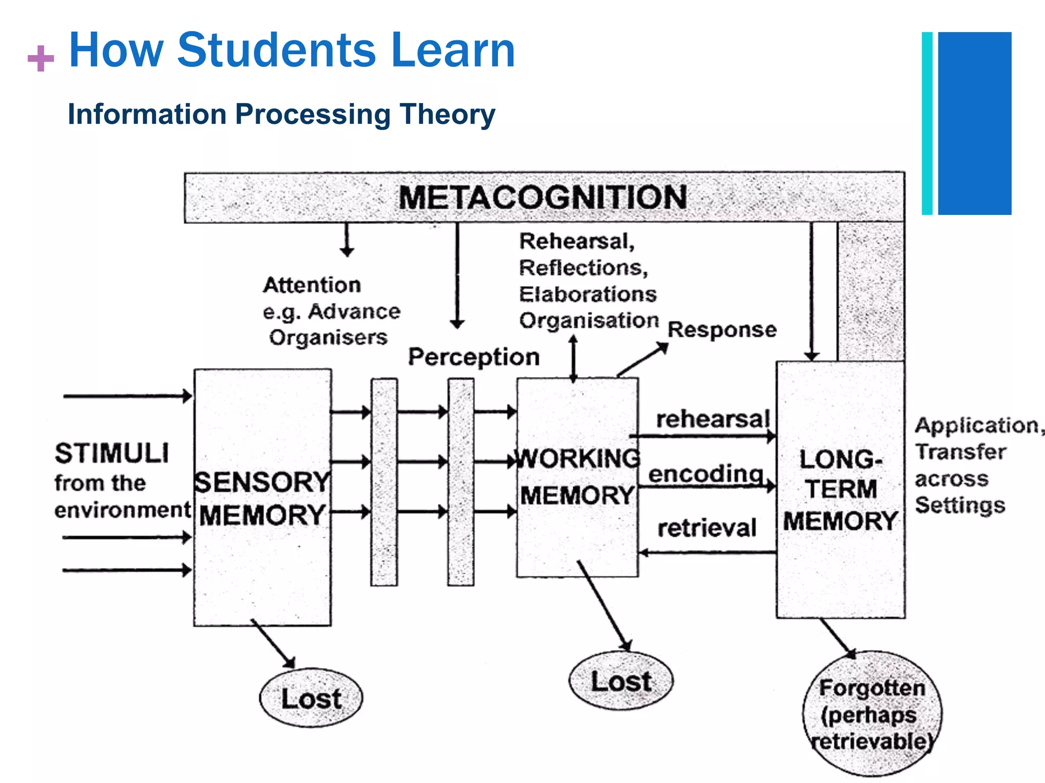 + How Students Learn
 Information Processing Theory
 