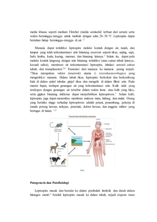 media khusus seperti medium Fletcher (media semisolid terbuat dari serum) serta
waktu berminggu-minggu untuk tumbuh dengan suhu 28–30 °C. Leptospira dapat
bertahan hidup berminggu-minggu di air. 2
Manusia dapat terinfeksi leptospira melalui kontak dengan air, tanah, dan
lumpur yang telah terkontaminasi urin binatang reservoir seperti tikus, anjing, sapi,
babi, lembu, kuda, kucing, marmot, dan binatang lainnya.1 Selain itu, dapat pula
melalui kontak langsung dengan urin binatang terinfeksi (atau cairan tubuh lainnya,
kecuali saliva), meminum air terkontaminasi leptospira, inhalasi aerosol cairan
tubuh, dan transplasental.3,4 Transmisi dari manusia ke manusia jarang terjadi.
3Tikus merupakan vektor (reservoir) utama L. icterohaemorrhagica yang
menginfeksi manusia. Dalam tubuh tikus, leptospira berkoloni dan berkembang
biak di dalam epitel tubulus ginjal tikus dan mengalir di dalam filtrat urin. Pada
musim hujan, terdapat genangan air yang terkontaminasi urin. Kulit utuh yang
terekspos dengan genangan air tersebut dalam waktu lama atau kulit yang luka,
serta gigitan binatang infeksius dapat menyebabkan leptospirosis.1 Selain kulit,
leptospira juga dapat menembus membran mukosa mata, hidung, dan mulut. Orang
yang berisiko tinggi terhadap leptospirosis adalah petani, penambang, pekerja di
rumah potong hewan, nelayan, peternak, dokter hewan, dan anggota militer yang
bertugas di hutan. 1,3
Patogenesis dan Patofisiologi
Leptospira masuk dan beredar ke dalam pembuluh limfatik dan darah dalam
hitungan menit.4 Setelah leptospira masuk ke dalam tubuh, terjadi respons imun
 