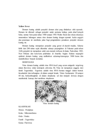Yellow Fever
Demam kuning adalah penyakit demam akut yang ditularkan oleh nyamuk.
Demam ini dikenali sebagai penyakit untuk pertama kalinya pada abad ketujuh
belas, namun baru pada tahun 1900 sampai 1901 Walter Reed dan rekan-rekannya
menemukan hubungan antara virus demam kuning dengan nyamuk Aedes aegypti
dan penemuan ini membuka jalan bagi pengendalian penularan penyakit demam
kuning ini.
Demam kuning merupakan penyakit yang gawat di daerah tropika. Selama
lebih dari 200 tahun sejak diketahui adanya perjangkitan di Yukatan pada tahun
1648, penyakit ini merupakan salah satu momok terbesar di dunia. Pada tahun 1905,
New Orleans dan kota-kota pelabuhan di Amerika bagian Selatan terjangkit
epidemi demam kuning yang melibatkan sekurang-kurangnya 5000 kasus dan
menimbulkan banyak kematian.
MORFOLOGI
Virus demam kuning adalah virus RNA kecil yang secara antigenik tergolong
dalam flavivirus (dulu kelompok arbovirus B). Virus ini merupakan anggota dari
famili Togaviridae. Togavirus adalah virus RNA berutas tunggal dalam bentuk
ikosahedral dan terbungkus di dalam sampul lemak. Virion berdiameter 20 sampai
60 nm, berkembangbiak di dalam sitoplasma sel dan menjadi dewasa dengan
membentuk kuncup dari membran sitoplasma.
Virus demam kuning
KLASIFIKASI
Divisio: Protiphyta
Kelas : Mikrotatobiotes
Ordo : Virales
Famili : Togaviridae
Genus: Flavivirus
 