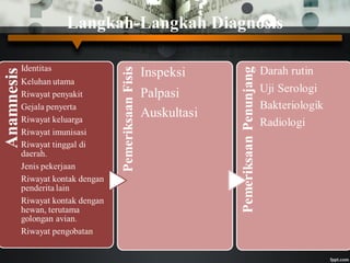Langkah-Langkah Diagnosis
 
