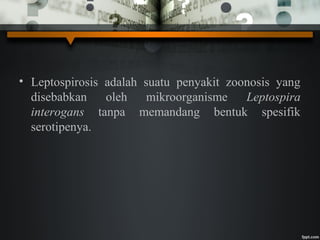 • Leptospirosis adalah suatu penyakit zoonosis yang
disebabkan oleh mikroorganisme Leptospira
interogans tanpa memandang bentuk spesifik
serotipenya.
 
