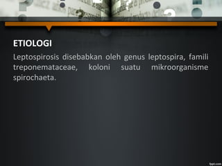 ETIOLOGI
Leptospirosis disebabkan oleh genus leptospira, famili
treponemataceae, koloni suatu mikroorganisme
spirochaeta.
 
