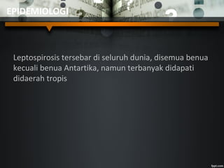 EPIDEMIOLOGI
Leptospirosis tersebar di seluruh dunia, disemua benua
kecuali benua Antartika, namun terbanyak didapati
didaerah tropis
 