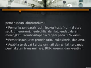 pemeriksaan laboratorium :
Pemeriksaan darah rutin: leukositosis (normal atau
sedikit menurun), neutrofilia, dan laju endap darah
meningkat. Trombositopenia terjadi pada 50% kasus.
Pemeriksaan urin: protein urin, leukositoria, dan cast.
Apabila terdapat kerusakan hati dan ginjal, terdapat
peningkatan transaminase, BUN, ureum, dan kreatinin.
 