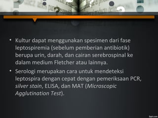• Kultur dapat menggunakan spesimen dari fase
leptospiremia (sebelum pemberian antibiotik)
berupa urin, darah, dan cairan serebrospinal ke
dalam medium Fletcher atau lainnya.
• Serologi merupakan cara untuk mendeteksi
leptospira dengan cepat dengan pemeriksaan PCR,
silver stain, ELISA, dan MAT (Microscopic
Agglutination Test).
 