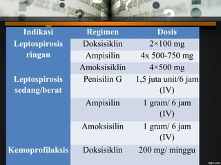 Pengobatan
Indikasi Regimen Dosis
Leptospirosis
ringan
Doksisiklin 2×100 mg
Ampisilin 4x 500-750 mg
Amoksisiklin 4×500 mg
Leptospirosis
sedang/berat
Penisilin G 1,5 juta unit/6 jam
(IV)
Ampisilin 1 gram/ 6 jam
(IV)
Amoksisilin 1 gram/ 6 jam
(IV)
Kemoprofilaksis Doksisiklin 200 mg/ minggu
 