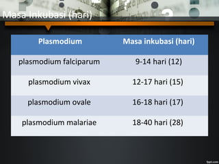Masa Inkubasi (hari)
Plasmodium Masa inkubasi (hari)
plasmodium falciparum 9-14 hari (12)
plasmodium vivax 12-17 hari (15)
plasmodium ovale 16-18 hari (17)
plasmodium malariae 18-40 hari (28)
 