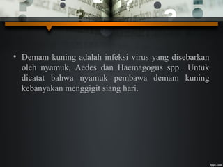 • Demam kuning adalah infeksi virus yang disebarkan
oleh nyamuk, Aedes dan Haemagogus spp. Untuk
dicatat bahwa nyamuk pembawa demam kuning
kebanyakan menggigit siang hari.
 