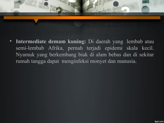 • Intermediate demam kuning: Di daerah yang lembab atau
semi-lembab Afrika, pernah terjadi epidemi skala kecil.
Nyamuk yang berkembang biak di alam bebas dan di sekitar
rumah tangga dapat menginfeksi monyet dan manusia.
 
