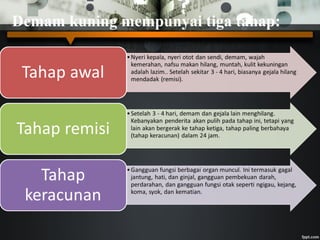 Demam kuning mempunyai tiga tahap:
 