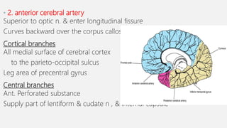 Pbl 2 vascular supply of cerebrum | PPTX