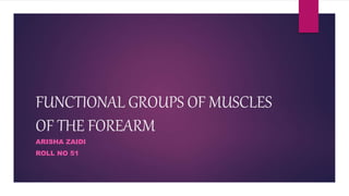 FUNCTIONAL GROUPS OF MUSCLES
OF THE FOREARM
ARISHA ZAIDI
ROLL NO 51
 