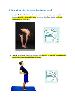 2. Determine the biomechanics of the lumbar spine?
• Lumbar flexion: More limited than extension, Increases diameter of intervertebral
foramina, generates compression forces on anterior side of disc tending to migrate
nucleus pulposus posteriorly
• Lumbar extension: Increase in lumbar lordosis, reduces the diameter of intervertebral
foramina, nucleus pulposus displaces anteriorly.
 