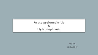 Acute pyelonephritis
&
Hydronephrosis
PBL -06
15 Oct 2017
 