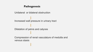 Unilateral or bilateral obstruction
Increased wall pressure in urinary tract
Dilatation of pelvis and calyces
Compression of renal vasculature of medulla and
venous stasis
Pathogenesis
 