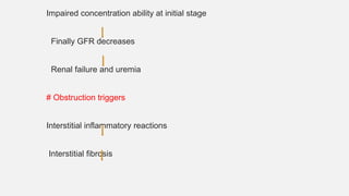 Impaired concentration ability at initial stage
Finally GFR decreases
Renal failure and uremia
# Obstruction triggers
Interstitial inflammatory reactions
Interstitial fibrosis
 