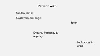 Sudden pain at
Costovertebral angle
fever
Dysuria, frequency &
urgency
Leukocytes in
urine
Patient with
 