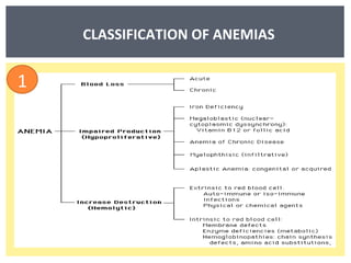 CLASSIFICATION OF ANEMIAS 1 