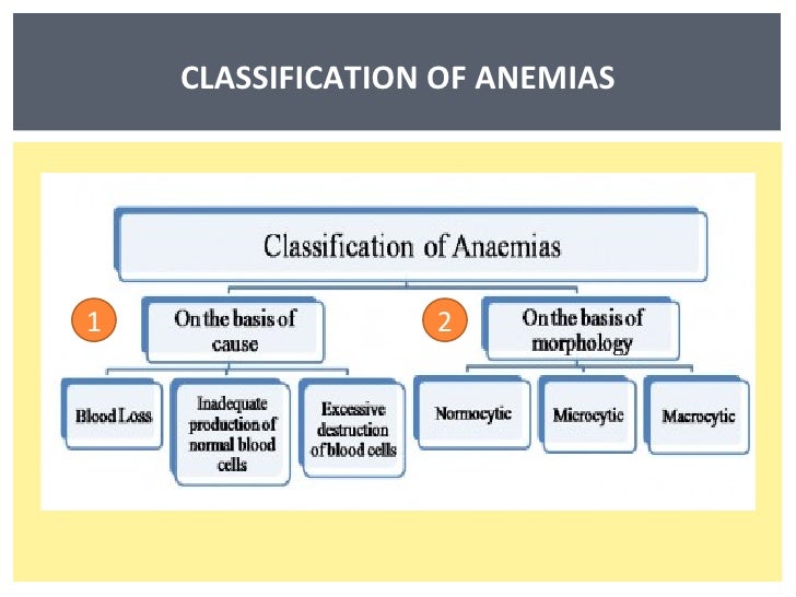 Classification Of Anemia Chart