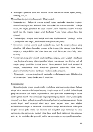 11
 Interoseptor ; perasaan tubuh pada alat-alat viscera atau alat-alat dalam, seperti jantung,
lambung, usus, dll.
Menurut tipe atau jenis stimulus, reseptor dibagi menjadi :
 Mekanoreseptor ; kelompok reseptor sensorik untuk mendeteksi perubahan tekanan,
memonitor tegangan pada pembuluh darah, mendeteksi rasa raba atau sentuhan. Letaknya
dikulit, otot rangka, persendian dan organ visceral. Contoh reseptornya : corpus Meissner
(untuk rasa raba ringan), corpus Merkel dan badan Paccini (untuk sentuhan kasar dan
tekanan).
 Thermoreseptor ; reseptor sensoris unuk mendeteksi perubahan suhu. Contohnya : bulbus
Krause (untuk suhu dingin), dan akhiran Ruffini (untuk suhu panas).
 Nociseptor ; reseptor sensorik untuk mendeteksi rasa nyeri dan merespon tekaan yang
dihasilkan oleh adanya kerusakan jaringan akibat trauma fisik maupun kimia. Contoh
reseptornya berupa akhiran saraf bebas (untuk rasa nyeri) dan corpus culum Golgi (untuk
tekanan).
 Chemoreseptor ; reseptor sensorik untuk mendeteksi rangsang kimiwa, seperti : bau-bauan
yang diterima sel reseptor olfaktorius dalam hidung, rasa makanan yang diterima oleh sel
reseptor pengecap dilidah, reseptor kimiawi dalam pembuluh darah untuk mendeteksi
oksigen, osmoreseptor untuk mendeteksi perubahan osmolalitas cairan darah,
glucoreseptor di hipotalamus mendeteksi perubahan kadar gula darah.
 Photoreseptor ; reseptor sensorik untuk mendeteksi perubahan cahaya, dan dilakukan oleh
sel photoreceptor (batang dan kerucut) di retina mata.
Neurotransmiter
Komunikasi antar neuron terjadi melalui penghubung antar neuron atau sinaps. Sebuah
sinaps bukan merupakan hubungan langsung, tetapi terdapat celah pemisah (celah sinaps)
yang harus dilewati oleh impuls yangdihantarkan. Meskipun dalam beberapa bagian sistem
saraf kegiatan elektrik satu neuron dapat langsung merangsang neuron lainnya, namun pada
sejumlah besar kasus terdapat senyawa kimia yang berfungsi sebagai agen pengantar. Ketika
sebuah impuls saraf mencapai ujung axon, suatu senyawa kimia yang disebut
neurotransmitter dilepaskan dan masuk ke dalam celah sinaps. Neurotransmiter terikat pada
reseptor khusus pada selaput sel penerima dan mengubah daya tembusnya ke arah
depolarisasi. Jika depolarisasi menjadi cukup besar untuk dapat melampaui titik rangsang,
maka sel itu membakar aksi potensial melalui axonnya untuk mempengaruhi neuron lain.
 