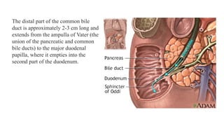 PBL cholelithiasis with choledocholithiasis.pptx