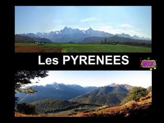 Les PYRENEES