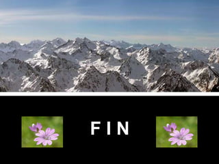 F I N