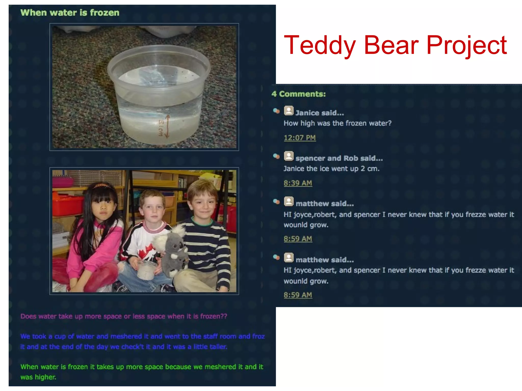 Teddy Bear Project 