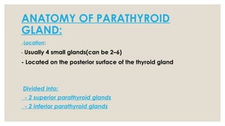 ANATOMY OF PARATHYROID
GLAND:
. Location:
- Usually 4 small glands(can be 2–6)
- Located on the posterior surface of the thyroid gland
Divided into:
- 2 superior parathyroid glands
- 2 inferior parathyroid glands
 