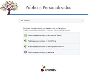 Públicos Personalizados
 