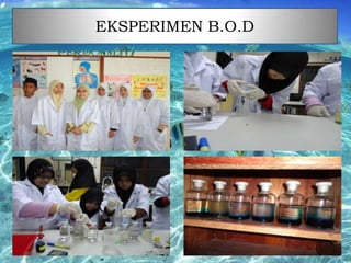 EKSPERIMEN B.O.D

 