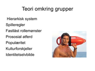 Teori omkring grupper
Hierarkisk system
Spilleregler
Fastlåst rollemønster
Prososial atferd
Populæritet
Kulturforskjeller
Identitetselvbilde
 