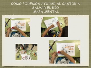 COMO PODEMOS AYUDAR AL CASTOR A
SALVAR EL RÍO
MAPA MENTAL
 
