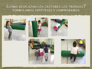 ¿CÓMO DESPLAZAN LOS CASTORES LOS TRONCOS?
FORMULAMOS HIPÓTESIS Y COMPROBAMOS
 