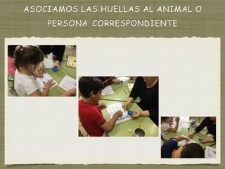 ASOCIAMOS LAS HUELLAS AL ANIMAL O
PERSONA CORRESPONDIENTE
 