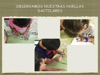 OBSERVAMOS NUESTRAS HUELLAS
DACTILARES
 