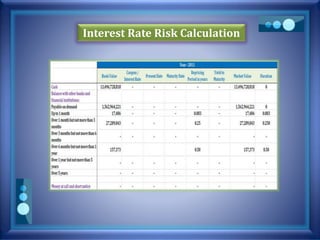 Interest Rate Risk Calculation
 