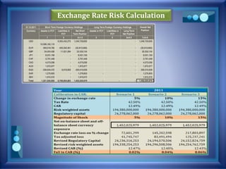 Exchange Rate Risk Calculation
 