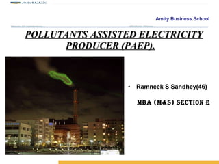 POLLUTANTS ASSISTED ELECTRICITY PRODUCER (PAEP). ,[object Object],[object Object]