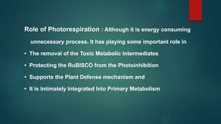 Role of Photorespiration : Although it is energy consuming
unnecessary process. It has playing some important role in
• The removal of the Toxic Metabolic Intermediates
• Protecting the RuBISCO from the Photoinhibition
• Supports the Plant Defense mechanism and
• It is Intimately Integrated Into Primary Metabolism
 