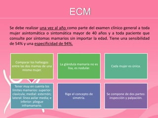 ECM
Se debe realizar una vez al año como parte del examen clínico general a toda
mujer asintomática o sintomática mayor de 40 años y a toda paciente que
consulte por síntomas mamarios sin importar la edad. Tiene una sensibilidad
de 54% y una especificidad de 94%.
Comparar los hallazgos
entre las dos mamas de una
misma mujer.
La glándula mamaria no es
lisa, es nodular.
Cada mujer es única.
Tener muy en cuenta los
límites mamarios: superior:
clavícula; medial: esternón;
lateral: línea axilar media; e
inferior: pliegue
inframamario.
Rige el concepto de
simetría.
Se compone de dos partes:
inspección y palpación.
 