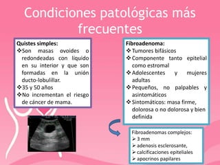 Condiciones patológicas más
frecuentes
Quistes simples:
Son masas ovoides o
redondeadas con líquido
en su interior y que son
formadas en la unión
ducto-lobulillar.
35 y 50 años
No incrementan el riesgo
de cáncer de mama.
Fibroadenoma:
Tumores bifásicos
Componente tanto epitelial
como estromal
Adolescentes y mujeres
adultas
Pequeños, no palpables y
asintomáticos
Sintomáticos: masa firme,
dolorosa o no dolorosa y bien
definida
Fibroadenomas complejos:
3 mm
adenosis esclerosante,
calcificaciones epiteliales
apocrinos papilares
 