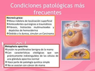 Condiciones patológicas más
frecuentes
Necrosis grasa:
Masa indolora de localización superficial
Antecedentes quirúrgicos o traumáticos
Fibrosis, histiocitos multinucleados y
depósitos de hemosiderina
Debido a la dureza, simulan un Carcinoma
Metaplasia apocrina:
Lesión no proliferativa benigna de la mama
Con características citológicas que son
prácticamente indistinguibles de las células de
una glándula apocrina normal
Hace parte de patología quística simple
No se asocian con cáncer de mama
 