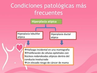 Condiciones patológicas más
frecuentes
Hiperplasia atípica
Hiperplasia lobulillar
atípica
Hiperplasia ductal
atípica
Hallazgo incidental en una mamografía
Proliferación de células epiteliales con
Núcleos redondeados atípicos dentro del
conducto involucrado
Un elevado riesgo de cáncer de mama
 