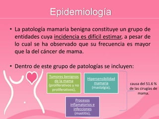 Epidemiología
• La patología mamaria benigna constituye un grupo de
entidades cuya incidencia es difícil estimar, a pesar de
lo cual se ha observado que su frecuencia es mayor
que la del cáncer de mama.
• Dentro de este grupo de patologías se incluyen:
Tumores benignos
de la mama
(proliferativos y no
proliferativos),
Hipersensibilidad
mamaria
(mastalgia),
Procesos
inflamatorios e
infecciones
(mastitis),
causa del 51.6 %
de las cirugías de
mama.
 