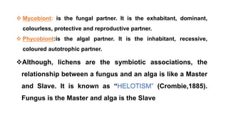  Mycobiont: is the fungal partner. It is the exhabitant, dominant,
colourless, protective and reproductive partner.
 Phycobiont:is the algal partner. It is the inhabitant, recessive,
coloured autotrophic partner.
Although, lichens are the symbiotic associations, the
relationship between a fungus and an alga is like a Master
and Slave. It is known as “HELOTISM” (Crombie,1885).
Fungus is the Master and alga is the Slave
 