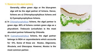 1) Based on the algal partner:
Generally, either green alga or the blue-green
alga will be the algal partner of lichens. Hence,
lichens are a) Chlorophycophyllous lichens and
b) Cyanophycophyllous lichens.
a) In Chlorophycophyllous lichens, the algal partner is
green alga. 80% of lichens contain green alga as a
phycobiont. Trebouxia (unicellular) is the most
abundant partner followed by Chlorella.
b) In Cyanophycophyllous lichens, the algal partner
belongs to BGA or cayanobacteria which accounts
for ~8%. Some of these are Nostoc, Stigonema,
Rivularia, and Gleocapsa. However, Nostoc is the
most common partner.
 