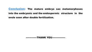 Conclusion: The mature embryo sac metamorphoses
into the embryonic and the endospermic structure in the
ovule soon after double fertilization.
--------------THANK YOU-----------------
 