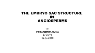 THE EMBRYO SAC STRUCTURE
IN
ANGIOSPERMS
By
P B MALLIKHARJUNA
GFGC YB
17.04.2020
 